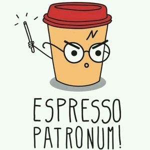 Meet your Posher, Ashlee